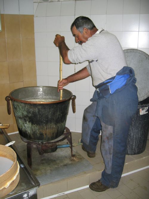 scuola di formaggio-11.JPG